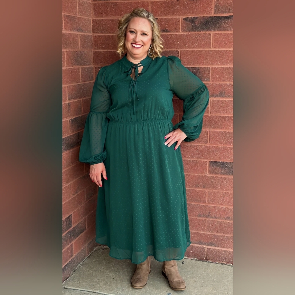 NWOT Boutique Brand Green with Swiss Dots Dress
